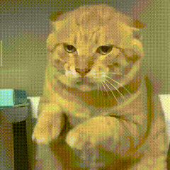 耄耋：跳舞